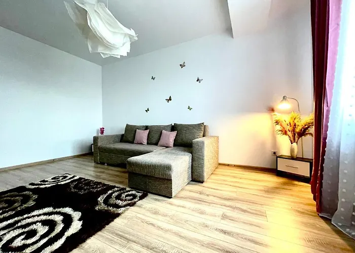 Wow Park Drumul Taberei