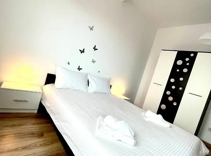 Wow Park Drumul Taberei *